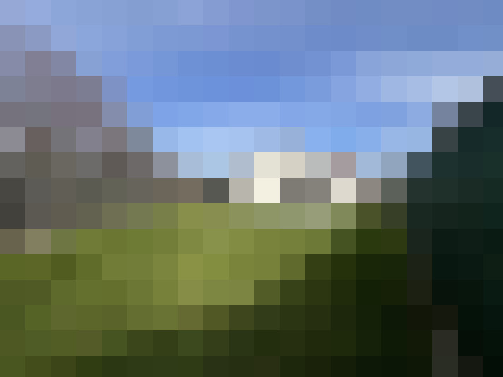 Image 29