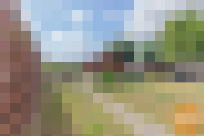 Image 25