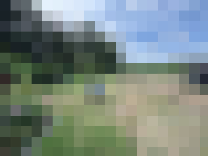 Image 22