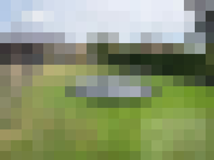 Image 23