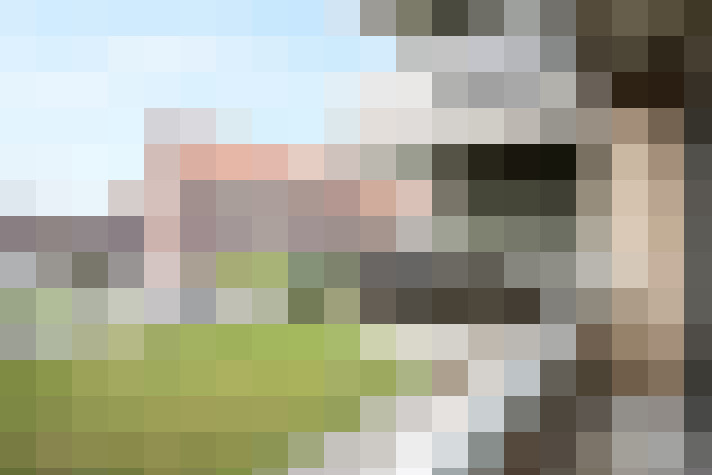Image 22