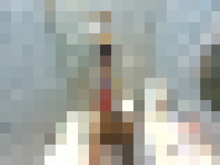 Image 14