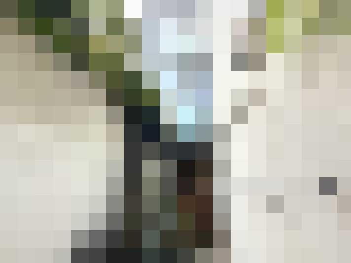 Image 20