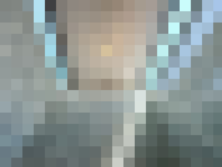 Image 15