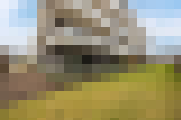 Image 20