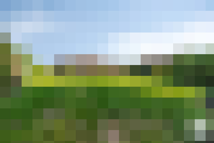 Image 15