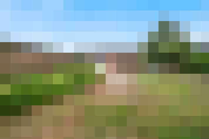 Image 17