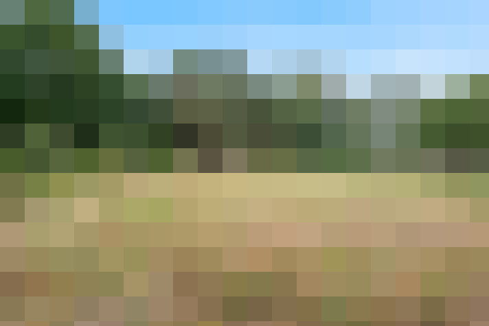 Image 18