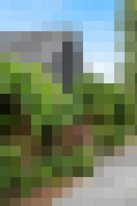 Image 24