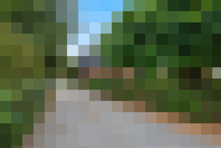 Image 23