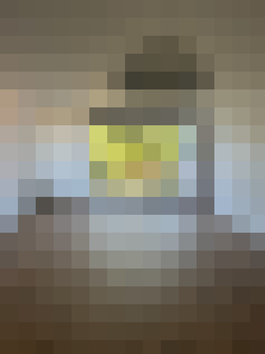 Image 15