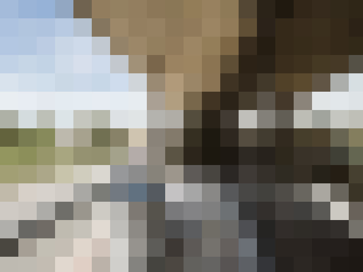 Image 17