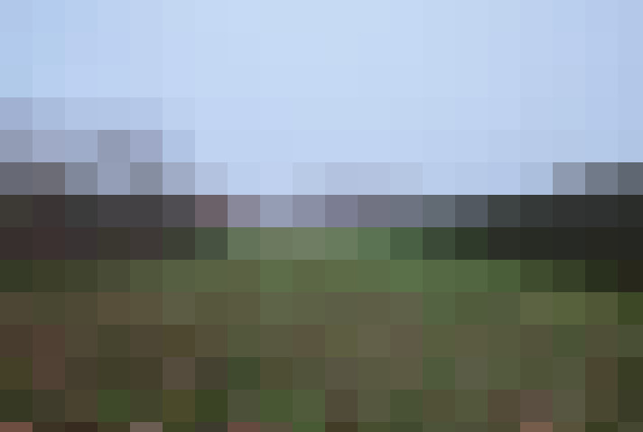 Image 25