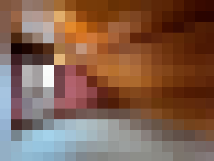 Image 20
