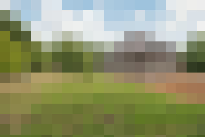 Image 23