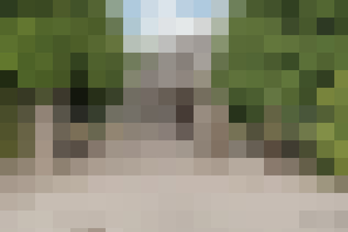 Image 29