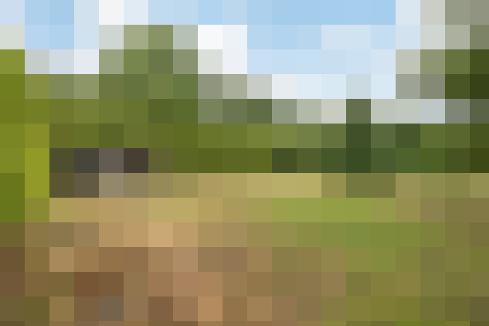 Image 25