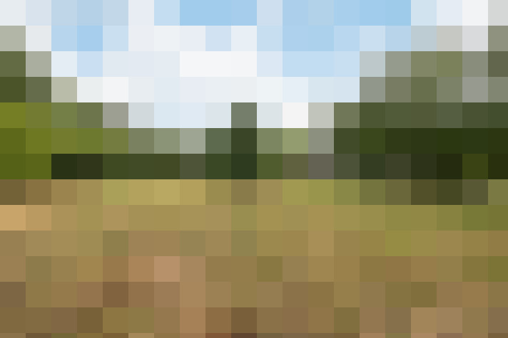 Image 26