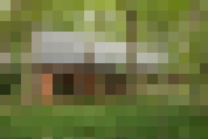 Image 13