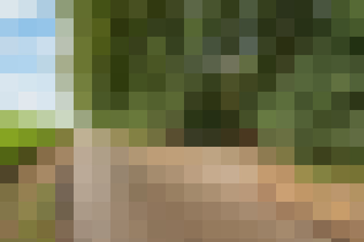 Image 24