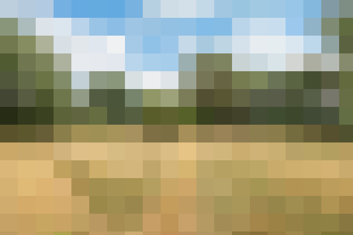 Image 27