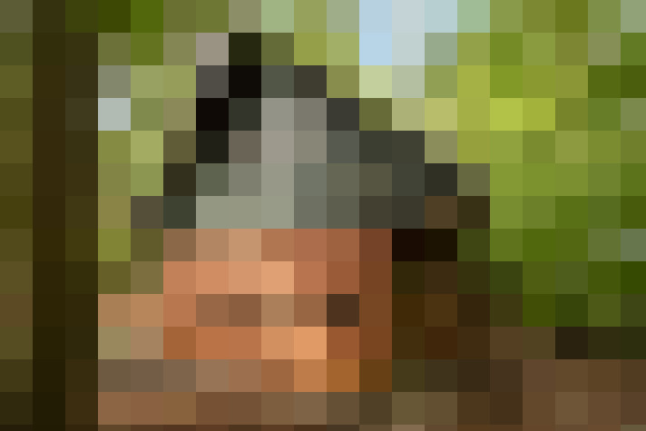 Image 23