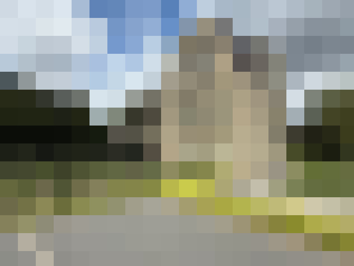Image 23