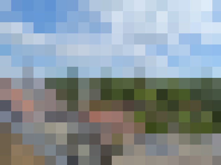 Image 14