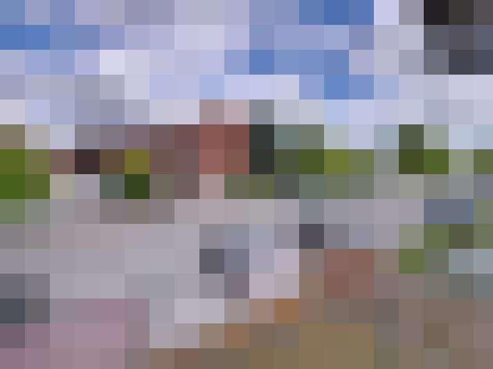 Image 23