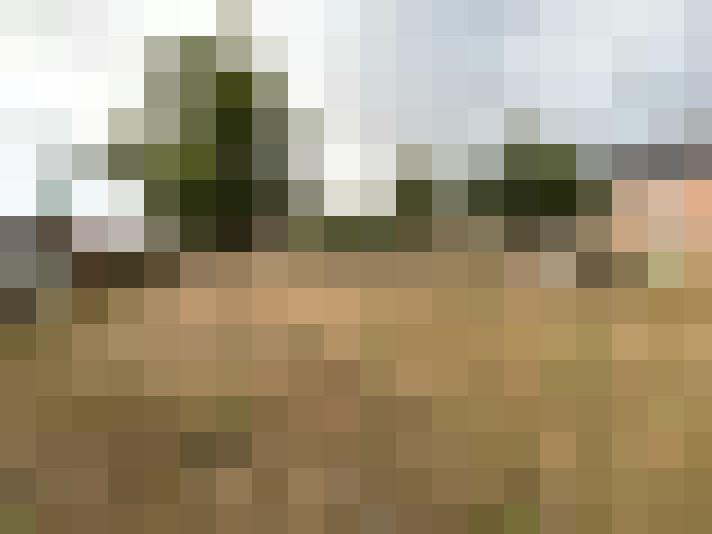 Image 14
