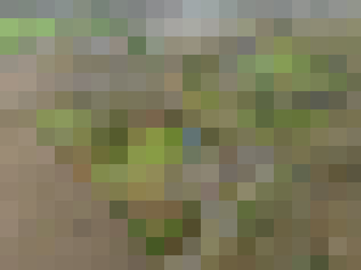 Image 29