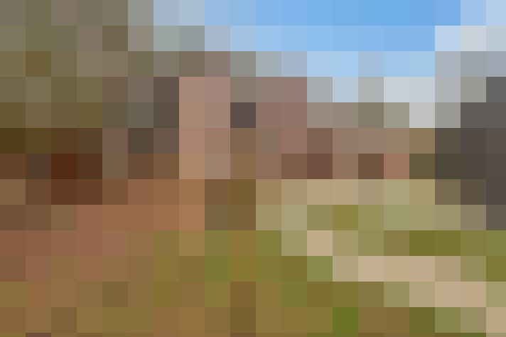 Image 31