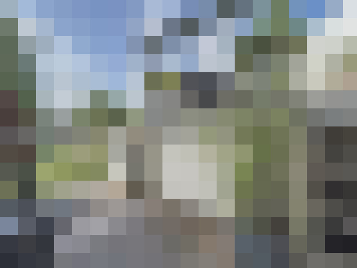 Image 14
