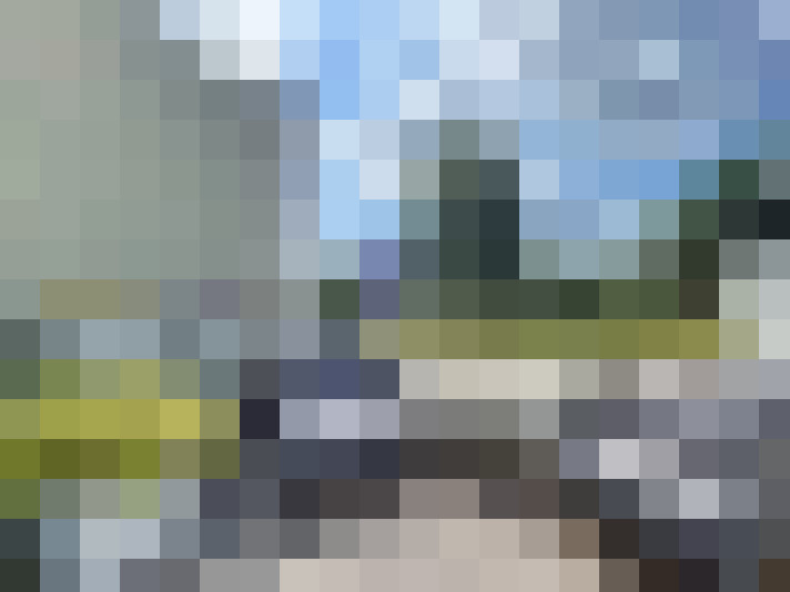 Image 13