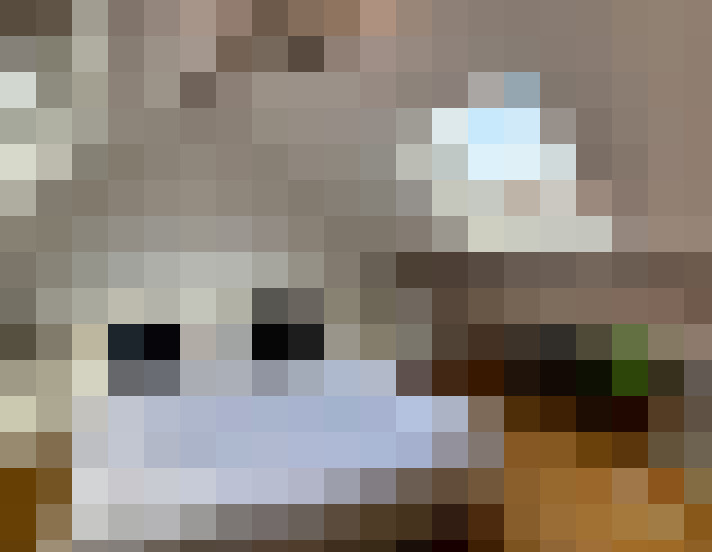 Image 13
