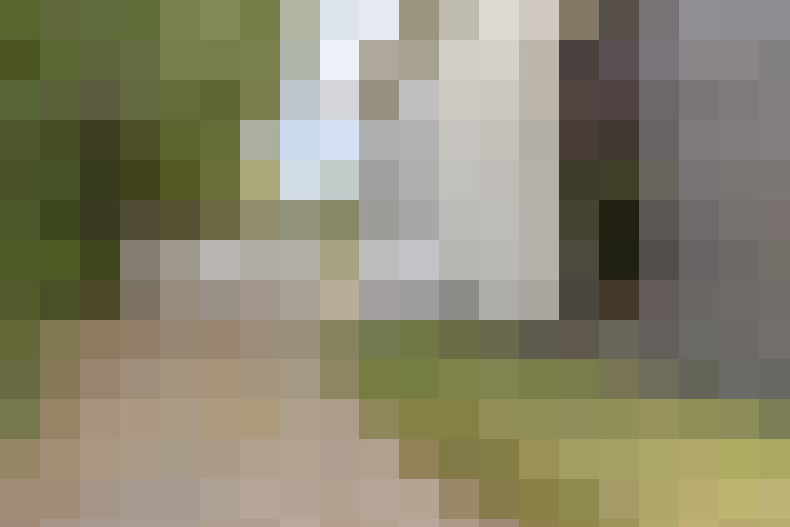 Image 18