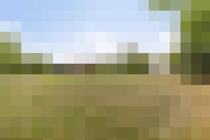 Image 22