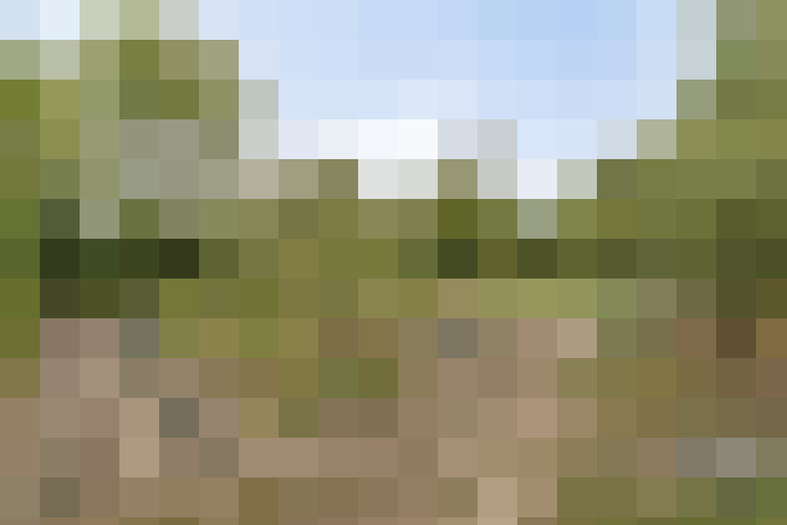 Image 24