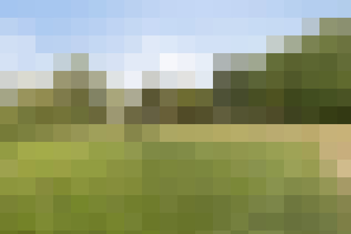 Image 20