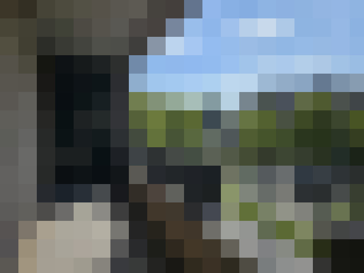 Image 15