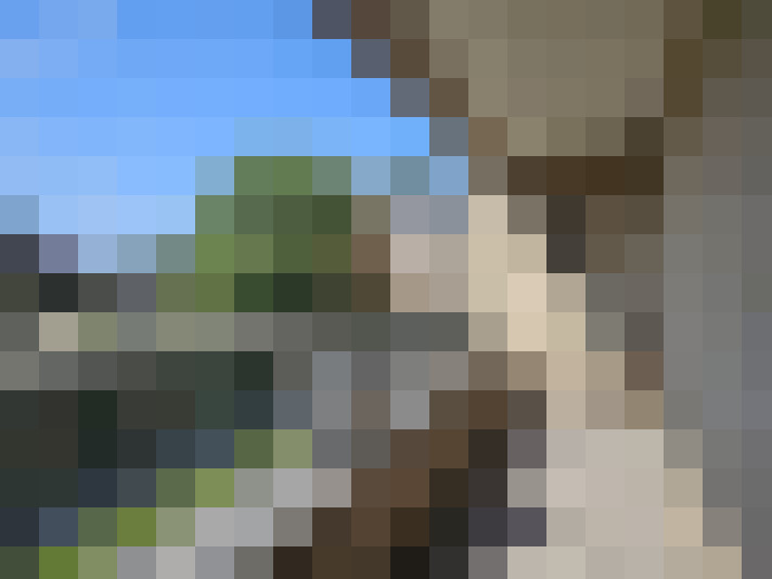 Image 14