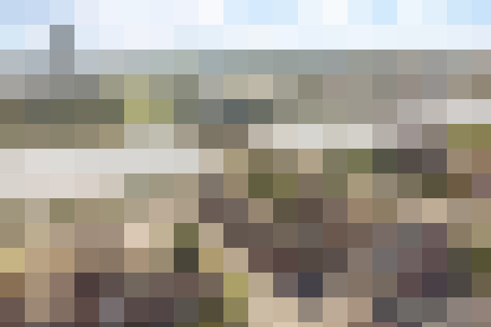 Image 29