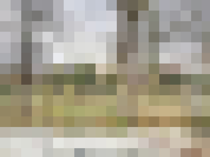 Image 44