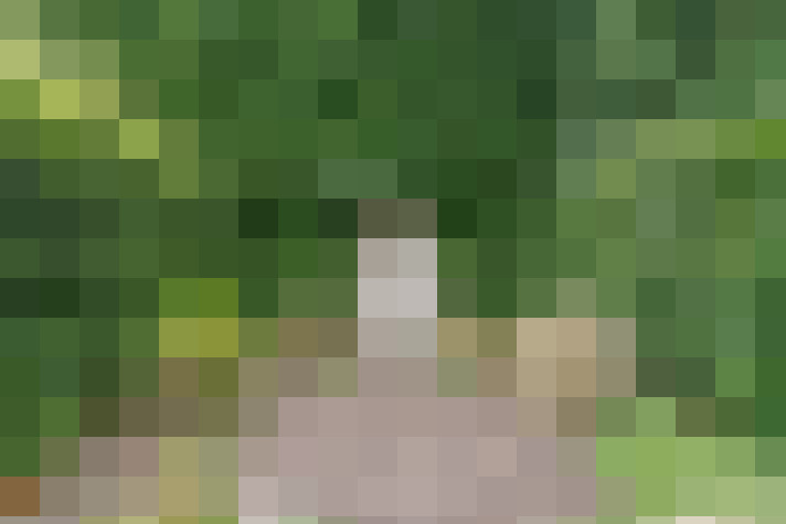 Image 14