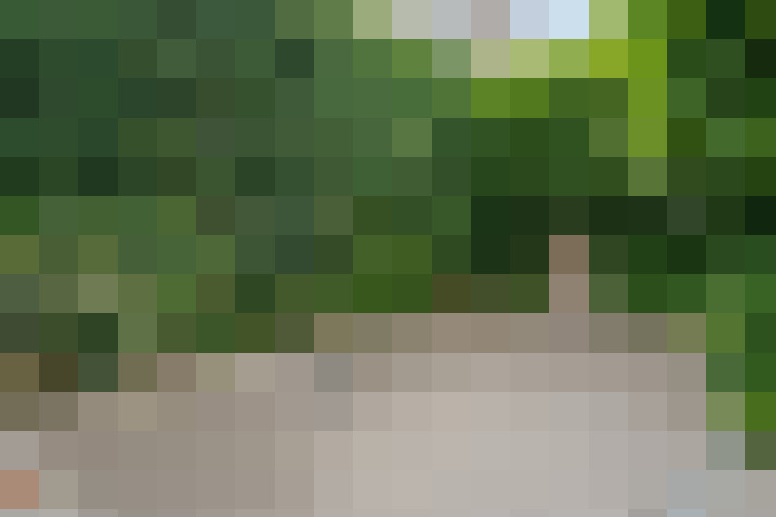 Image 30