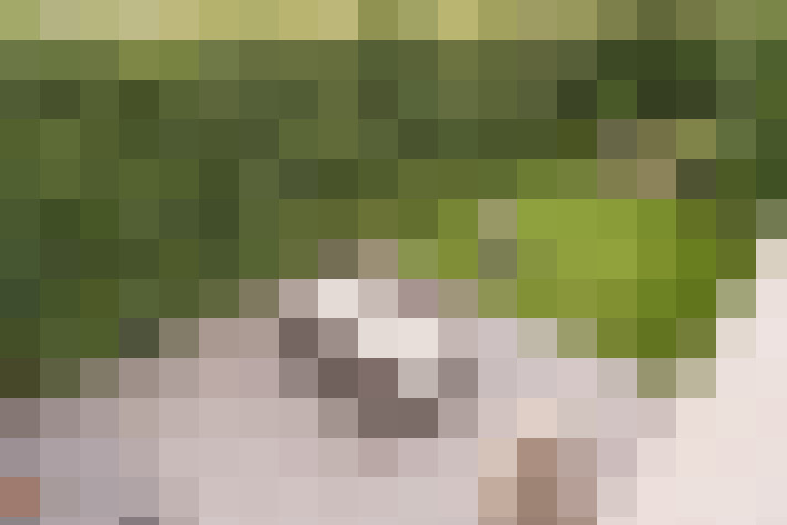 Image 17