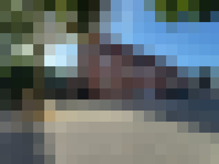 Image 13