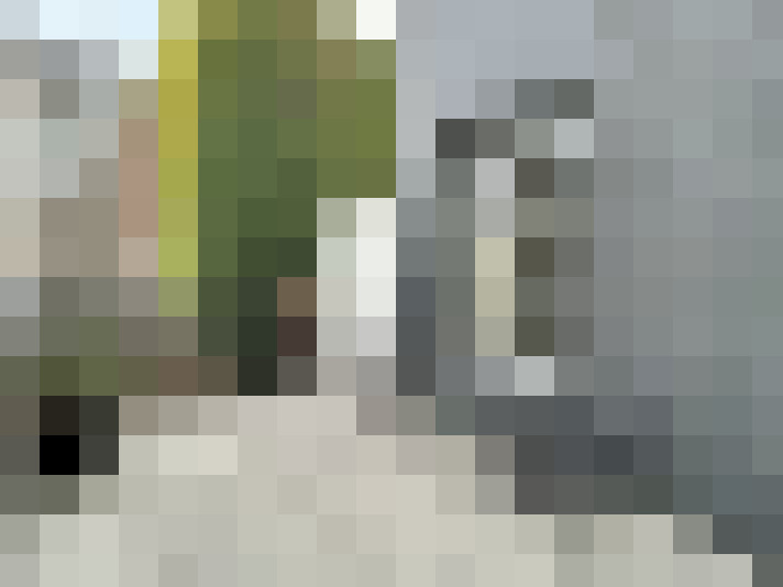 Image 14