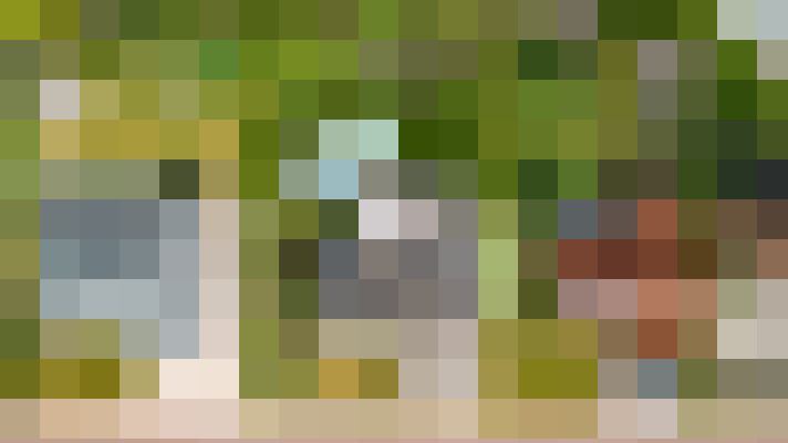 Image 22