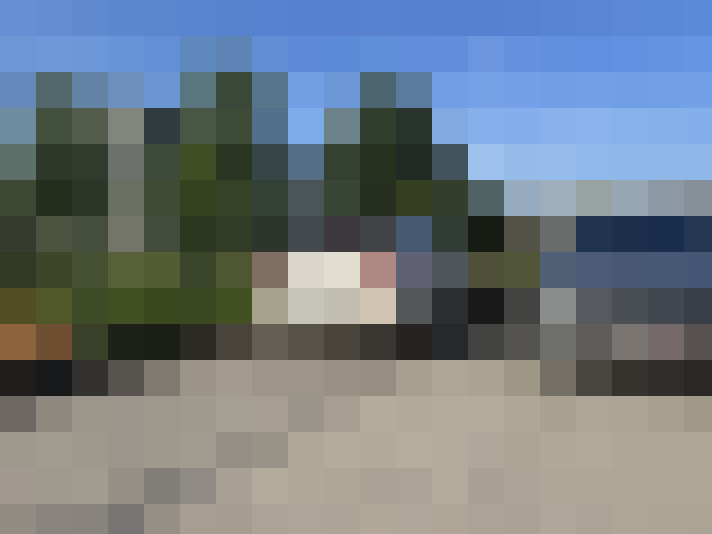 Image 13